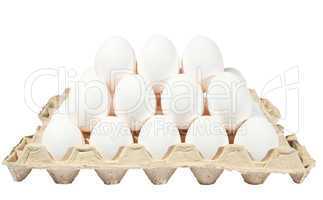 eggs in packing on the white background