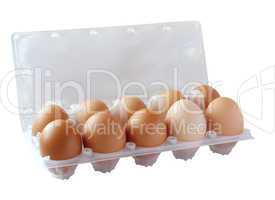 eggs in packing on the white background