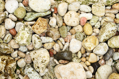 Texture colored sea rocks