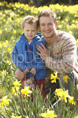 Father And Son On Easter Egg Hunt In Daffodil Field