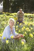 Woman Hiding Decorated Easter Eggs For Hunt Amongst Daffodils