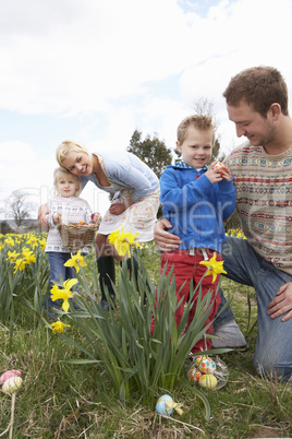 Family On Easter Egg Hunt In Daffodil Field