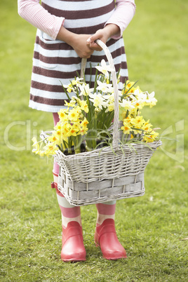 Detail Of Girl Holding Basket Of Daffodils In Garden