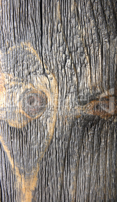 texture of umber brown wood