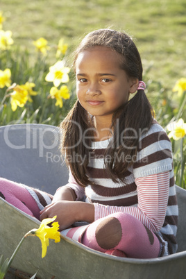 Girl On Sitting In Wheelbarrow In Daffodil Field