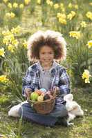 Boy On Easter Egg Hunt In Daffodil Field