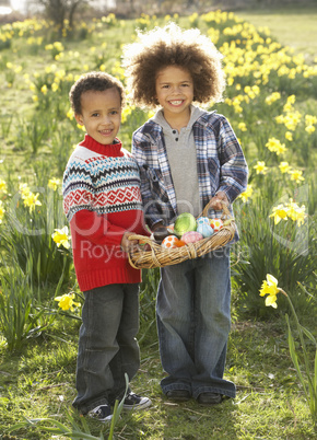 Two Boys Having Easter Egg Hunt In Daffodil Field