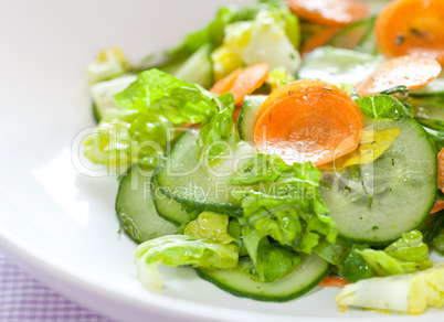 frischer Salat mit Gurke / fresh salad with cucumber