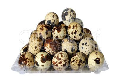 quail egg in packing