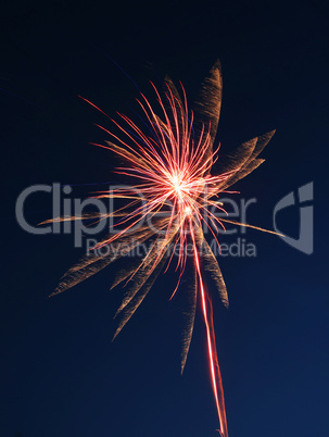 color fireworks against the dark night sky