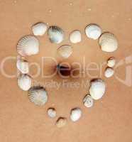 heart of the sea shells on the woman's abdomen