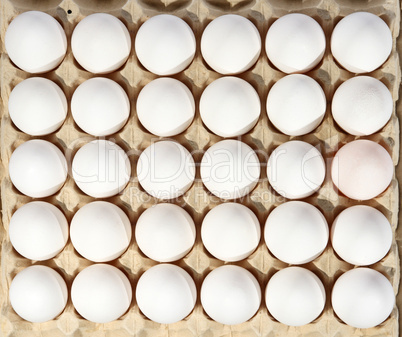 eggs in packing