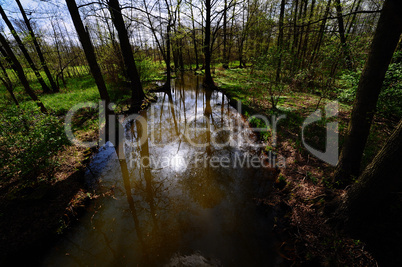 Spreewald