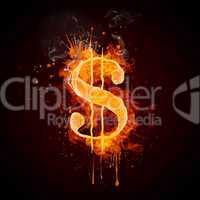 Dollar in Fire