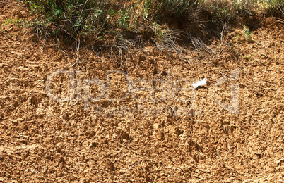 Soil background