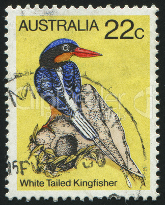 postage stamp