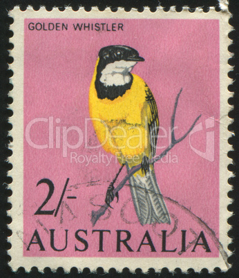 postage stamp