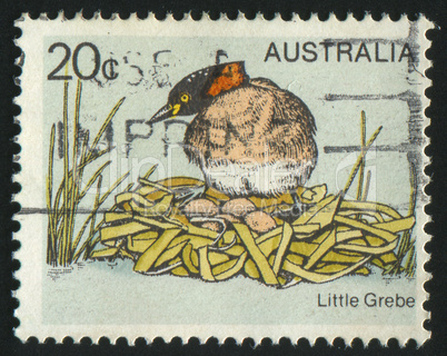 postage stamp