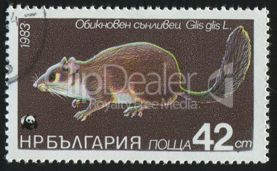 postage stamp