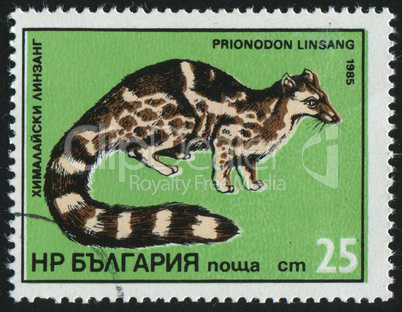 postage stamp