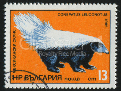 postage stamp