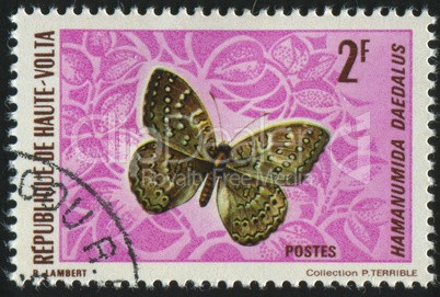 postage stamp