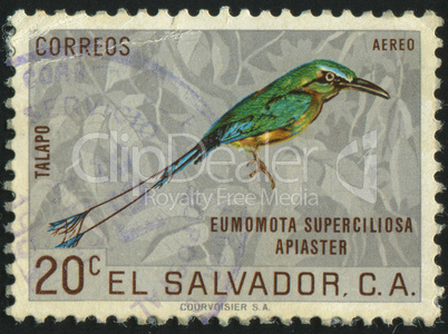 postage stamp