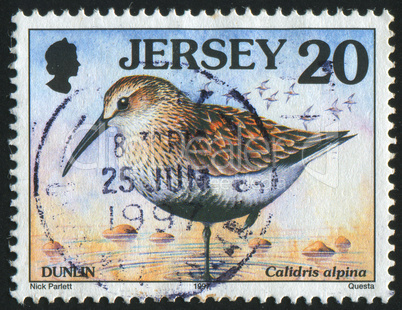 postage stamp