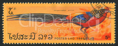 postage stamp