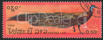 postage stamp