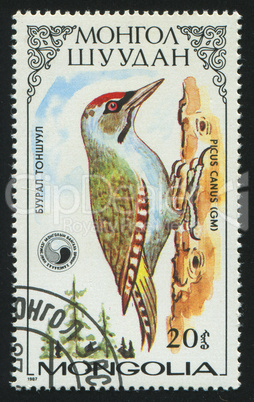 postage stamp