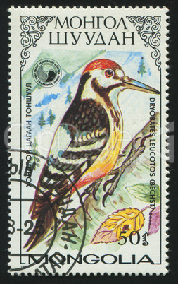 postage stamp