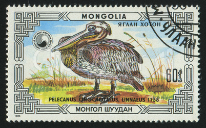 postage stamp