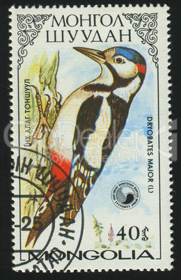 postage stamp