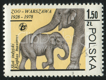 postage stamp