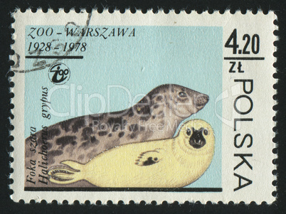 postage stamp