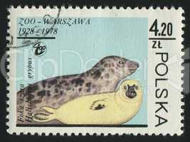 postage stamp