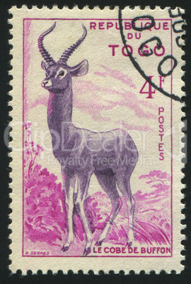 postage stamp