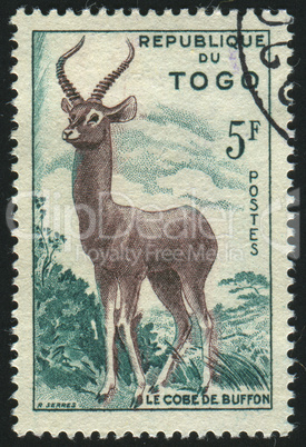 postage stamp