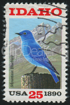 postage stamp