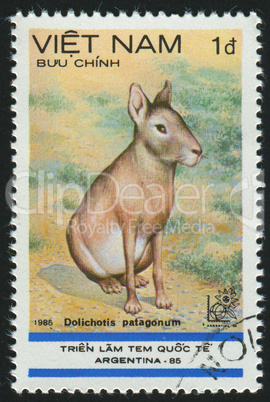 postage stamp