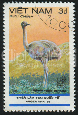 postage stamp