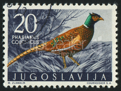 postage stamp