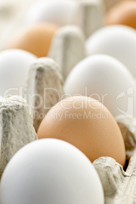 Eggs