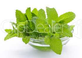 Mint sprigs in bowl