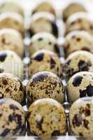 Quail eggs