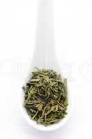 Dry green tea leaves in a spoon