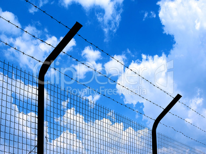Barbed wire.