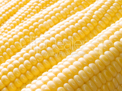 Corn.