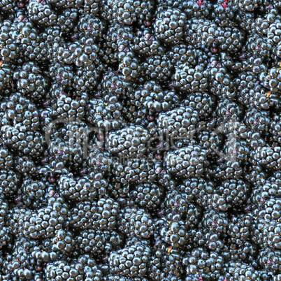 Blackberry seamless background.